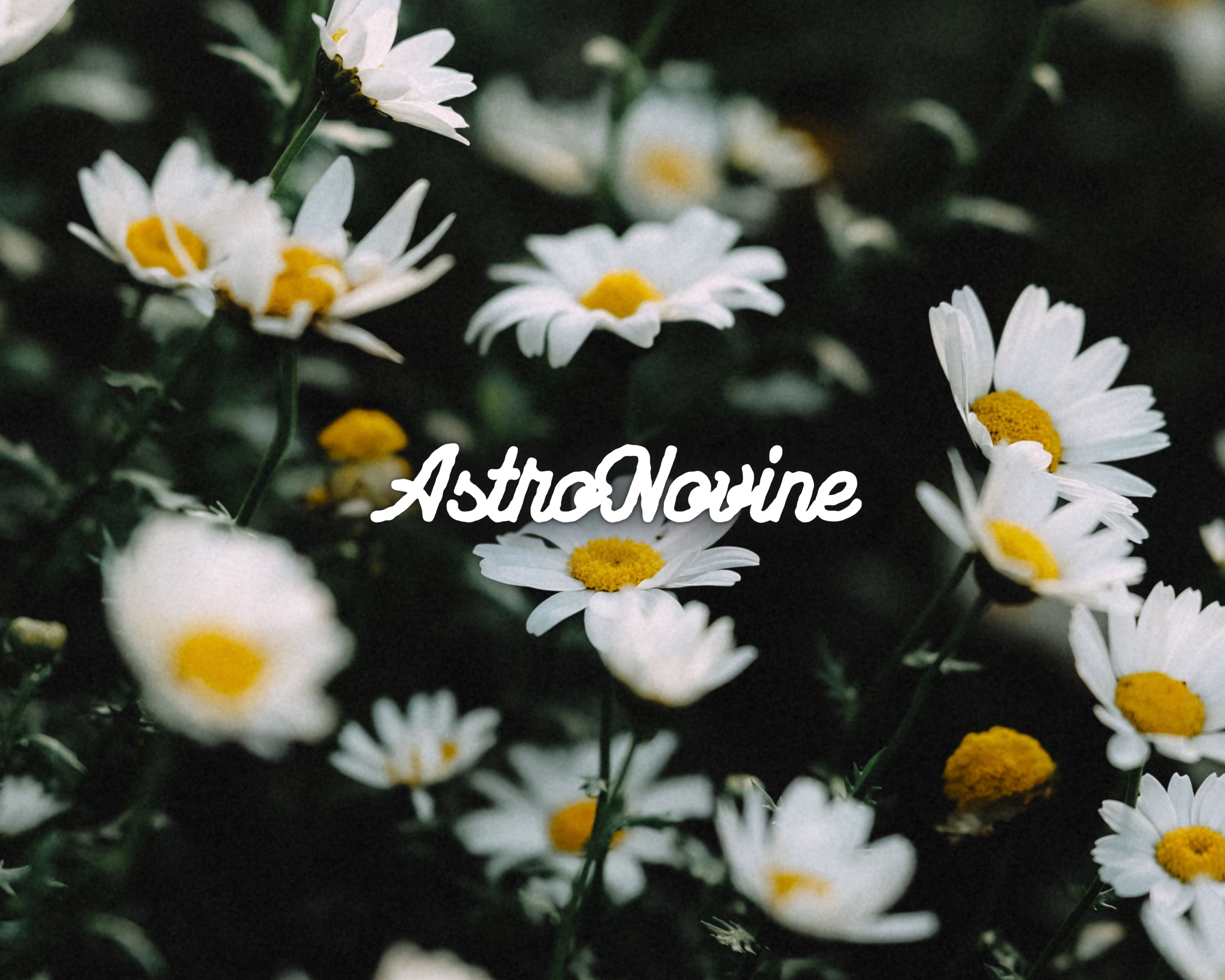 AstroNovine (10) (2)