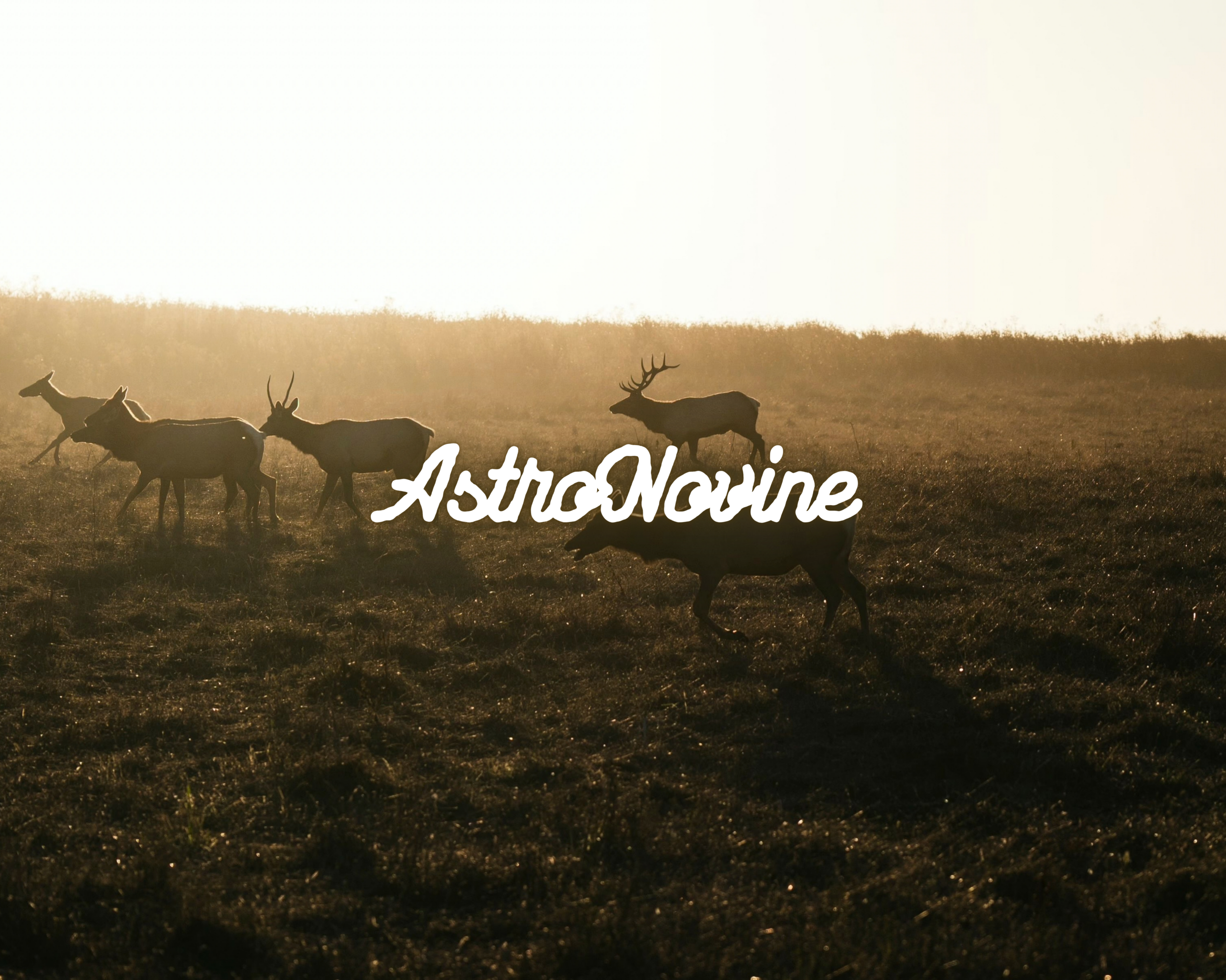AstroNovine (8) (1)