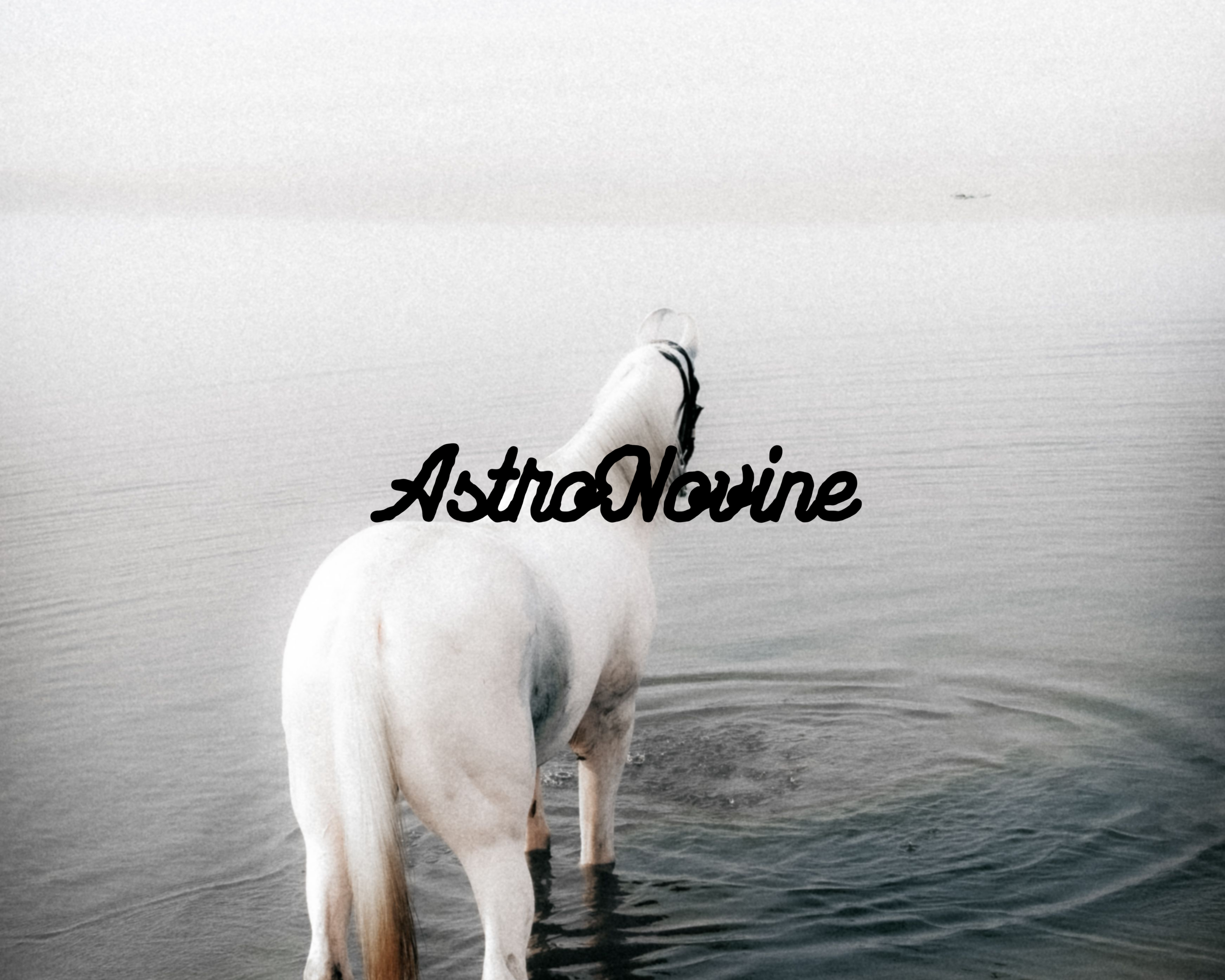 AstroNovine (12)