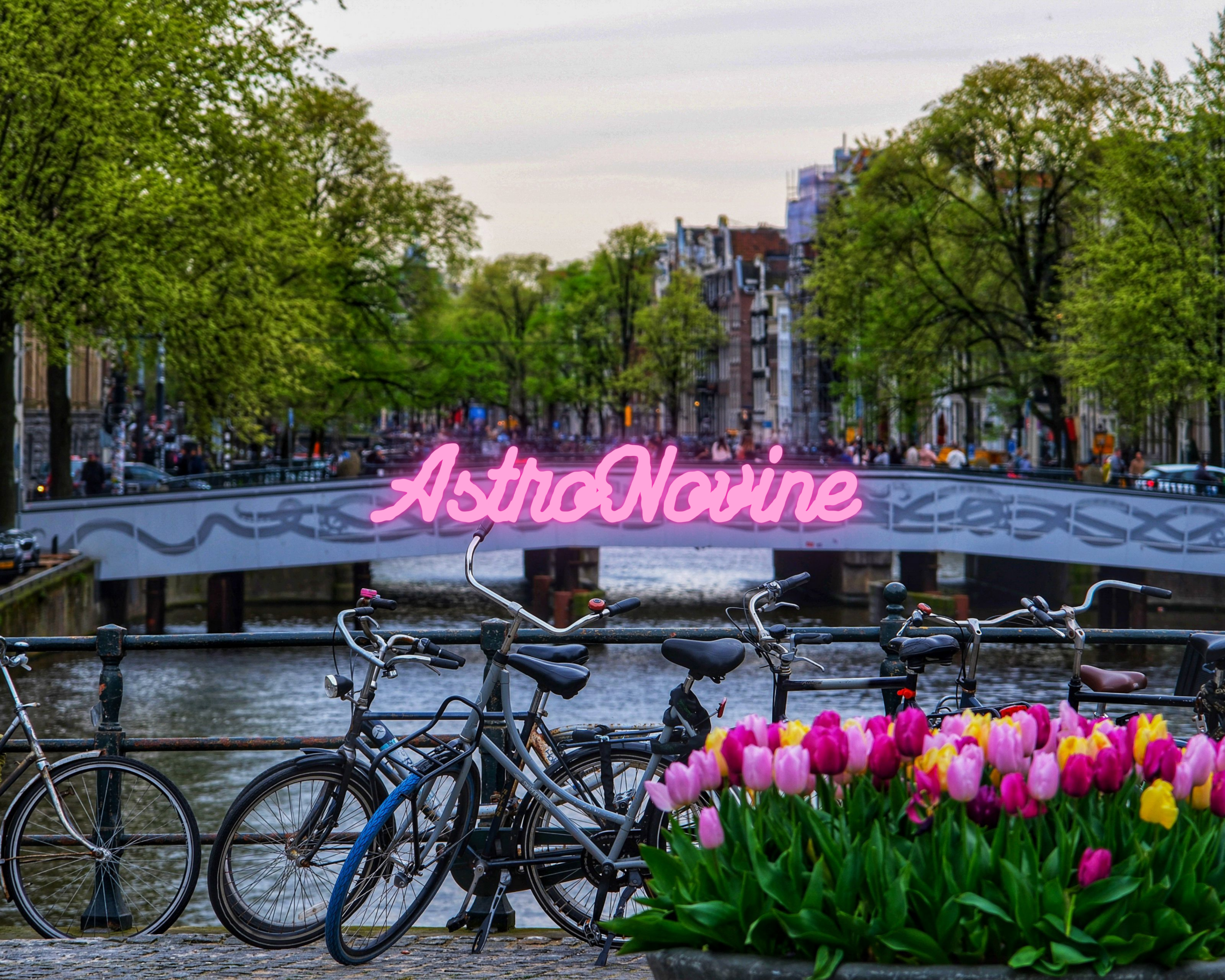 AstroNovine