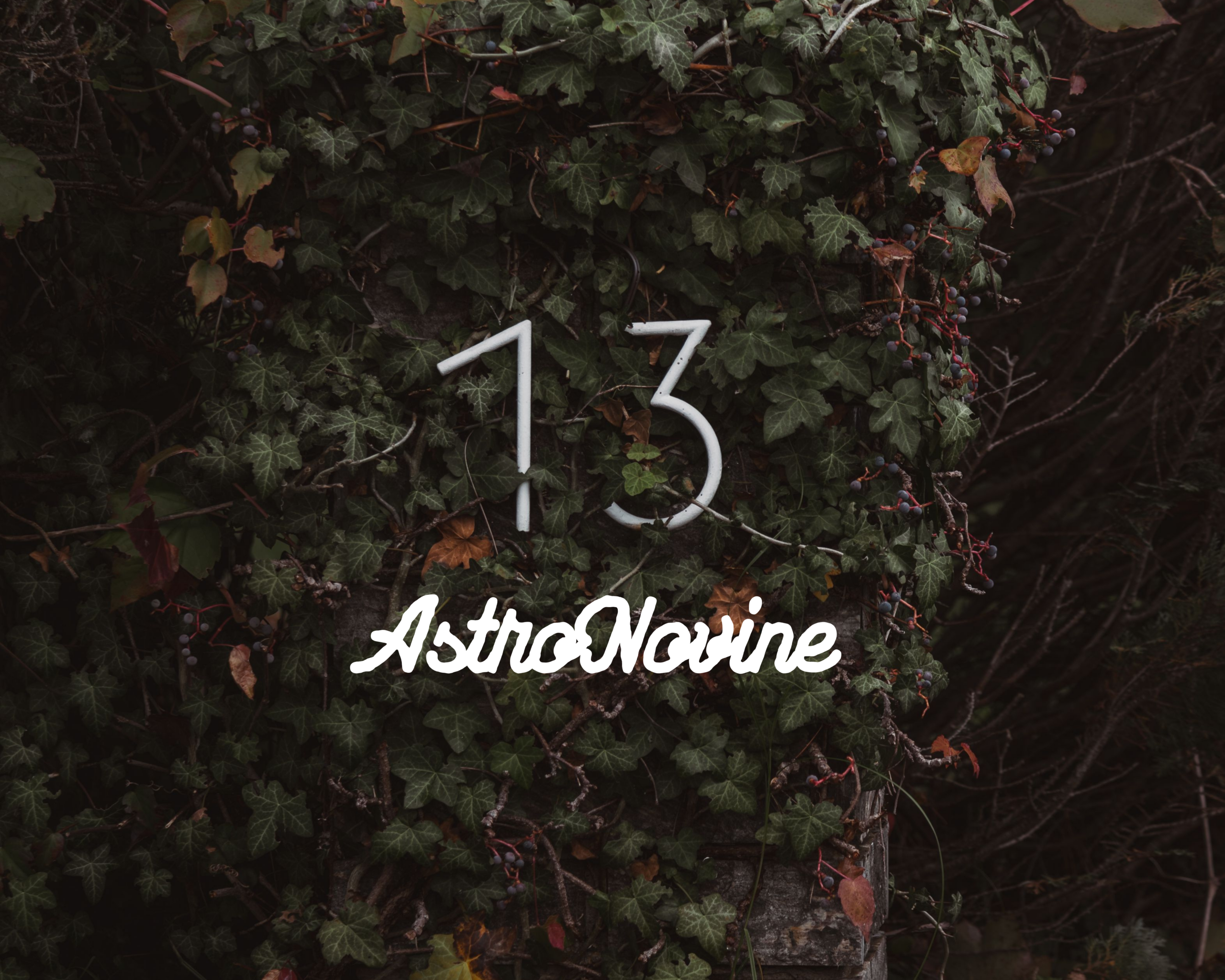 AstroNovine (3)