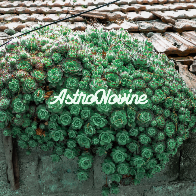 AstroNovine (4) (4)